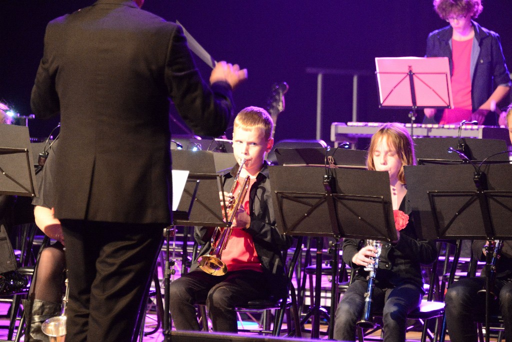../Images/Jubileumconcert 100 jaar Harpe Davids 141.jpg